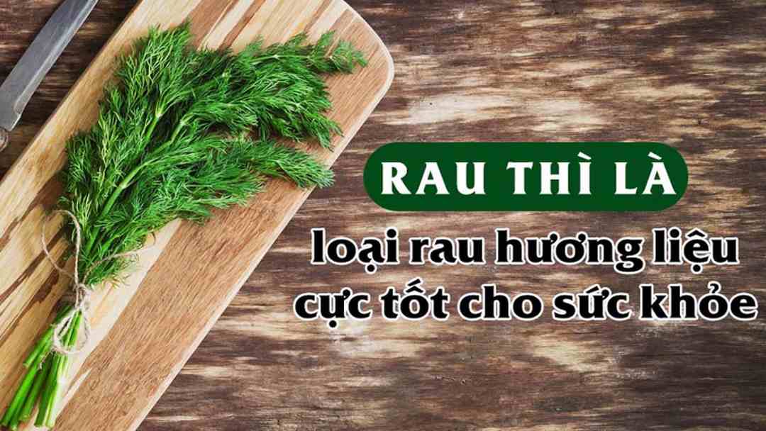 Các Công Dụng Chữa Bệnh Của Cây Thì Là 