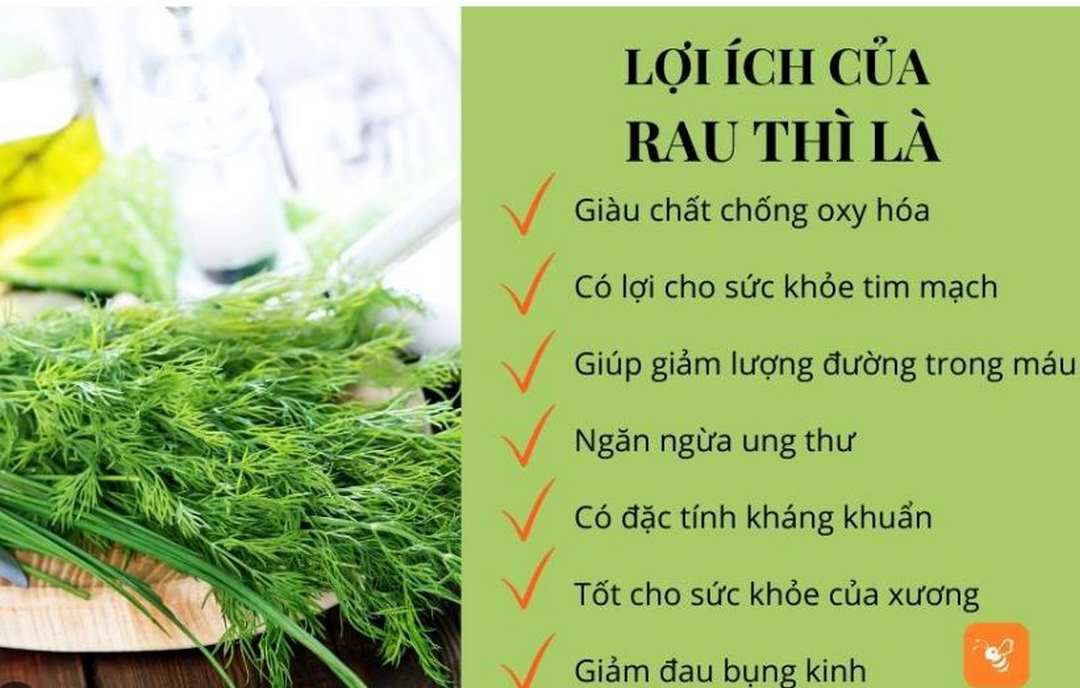 Lợi ích sức khỏe của cây thì là