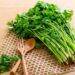 Những Lợi Ích Của Rau Mùi Đối với Sức Khỏe