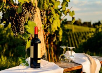 Mỹ có năm vùng sản xuất nho làm rượu vang nổi bật