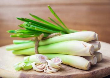 Các bài thuốc từ cây sả rất tốt hệ thần kinh của con người