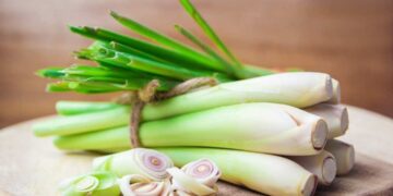 Các bài thuốc từ cây sả rất tốt hệ thần kinh của con người