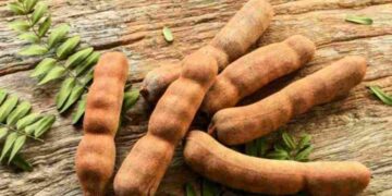 Hình dáng bên ngoài thường thấy nhất ở quả me truyền thống