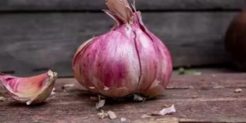 Tác hại khi sử dụng tỏi