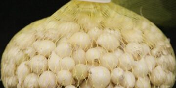 Bảo quản hành tăm với cát