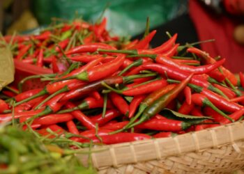 Ăn ớt cũng có thể nâng cao hệ miễn dịch cho sức khỏe