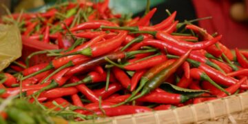 Ăn ớt cũng có thể nâng cao hệ miễn dịch cho sức khỏe