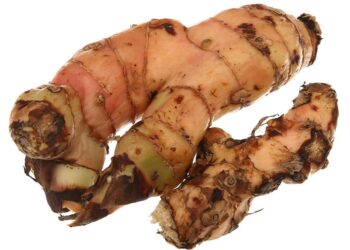 Vì sao củ riềng có thể chữa được bệnh đau dạ dày?