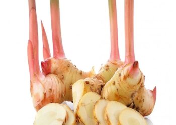 Sơ chế nguyên liệu