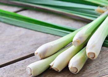 Khám phá 13 tác dụng của củ sả với sức khỏe