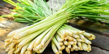 Tác dụng dược lý