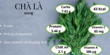 Tổng hợp giá trị dinh dưỡng của cây thì là