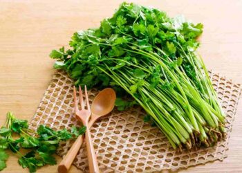 Những Lợi Ích Của Rau Mùi Đối với Sức Khỏe