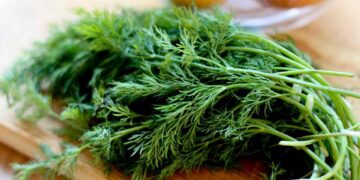 Cách chọn cây thì là tốt nhất để sử dụng