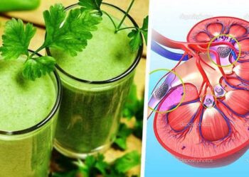 Cách Sử Dụng Nước Rau Mùi Trị Bệnh Thận Hiệu Quả