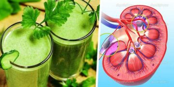 Cách Sử Dụng Nước Rau Mùi Trị Bệnh Thận Hiệu Quả