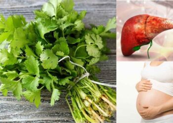 Tác hại của rau mùi trên sức khỏe con người