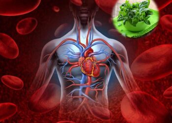 Tăng cường sức khỏe tim mạch