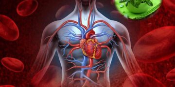 Tăng cường sức khỏe tim mạch