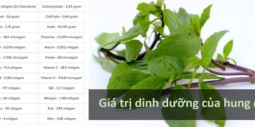 Giá trị dinh dưỡng của húng quế