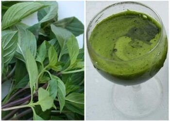 Các Bước Cần Thiết Để Làm Nước Ép Húng Quế