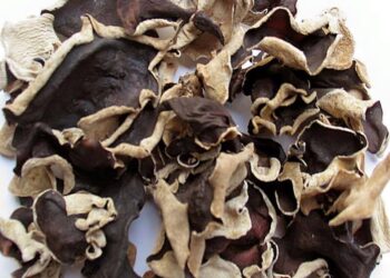 Mộc nhĩ rừng có khả năng làm giảm mức cholesterol xấu trong máu