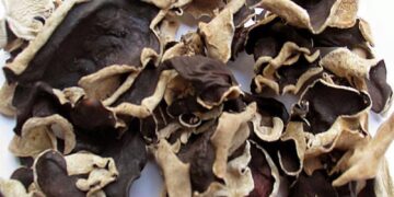 Mộc nhĩ rừng có khả năng làm giảm mức cholesterol xấu trong máu