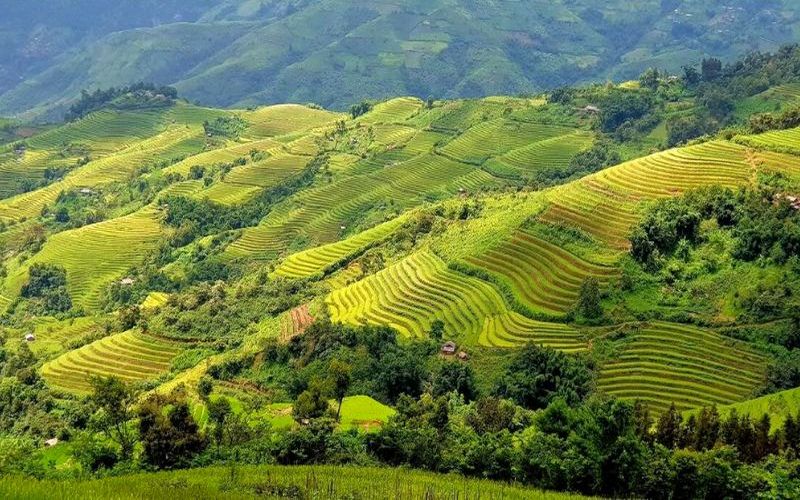 Cao nguyên Sìn Hồ