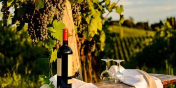 Mỹ có năm vùng sản xuất nho làm rượu vang nổi bật